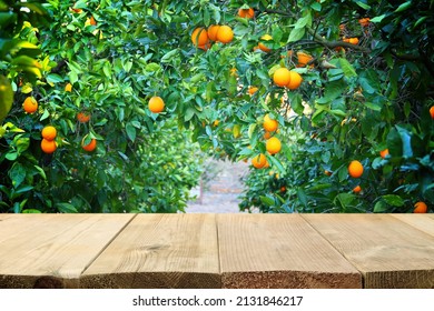 Empty Wooden Table In Front Of Orange Field