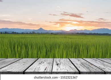 Empty wooden table with rice field in sunset