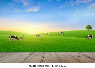 6x4ft Nature Photography Background Grassland Pasture Cow Herd Background Decoration Background Studio Props HXFU219 