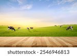 Empty wooden table top with cows in meadow and sunrise background.