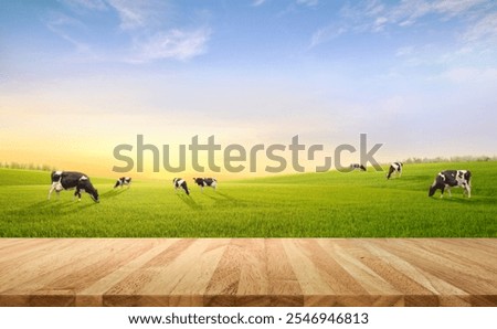 Similar – Image, Stock Photo Cows on hill in front of mountain panorama