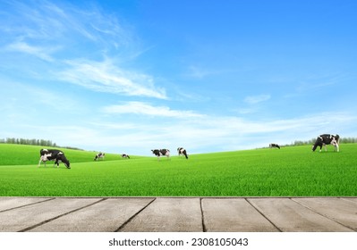 Empty wooden table top with grass field and cows background. - Shutterstock ID 2308105043