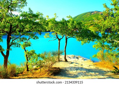 Empyrean view at Lago di Fiastra (Lake Fiastra) with oak trees, dark symmetrical trunks, lush green foliage caressed by balmy sunlight, a perfect complement to azure waters and the Sibillini - Shutterstock ID 2134339115