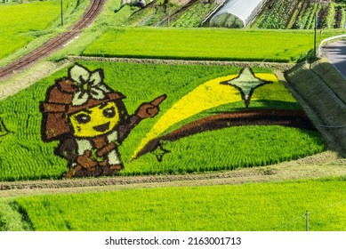 Ena, Gifu, Japan – August, 3, 2021 – Fireman Figure Created With Colored Rice Plants, Known As 