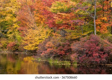 Enchanted Autumn Lake At Gouldsboro State Park In Pennsylvania