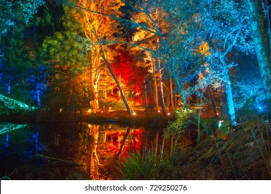Enchanted Forest Festival (Scotland) 2017 