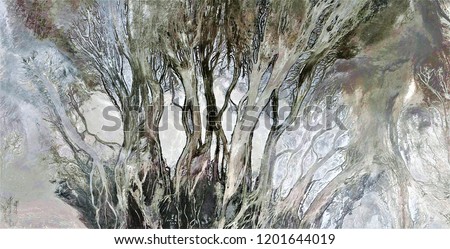 the enchanted forest, tribute to Pollock, abstract photography of the deserts of Africa from the air, aerial view, abstract expressionism, contemporary photographic art, abstract naturalism,