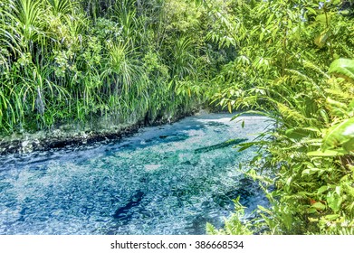 Enchanted River 