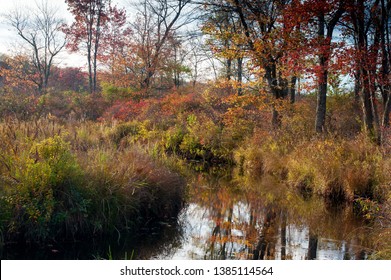 Enchanting Autumn Trout Stream At Gouldsboro State Park In Pennsylvania.