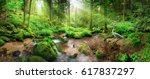 Enchanting panoramic forest scenery with soft light falling through the foliage, a stream with tranquil water and a heron