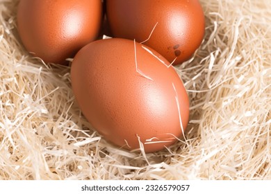 Enchanting Pastel Easter Eggs Delightful Hues of the Season - Powered by Shutterstock