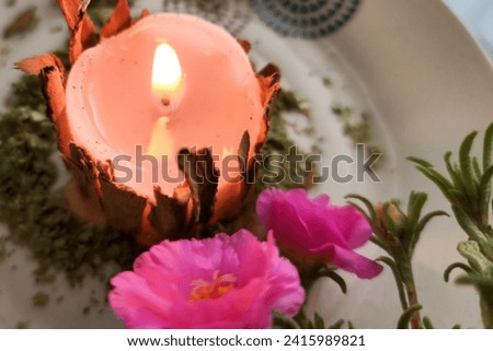 Enchanting Prosperity: Illuminating the Ritual of Abundance with a Pink Candle, Cinnamon, Oregano, and Pink Flowers for Wealth and Prosperity