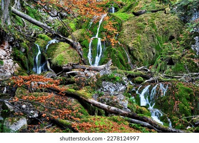 Enchanting and scenic landscape in the mountain woodland with small waterfall over mossy rocks and autumn foliage
