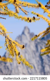 Enchantments - Golden Larch And Prusik Peak