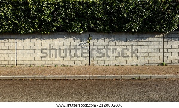 Enclosure wall made of concrete bricks with green\
hedge above. A porphyry sidewalk and asphalt road in front.\
Background for copy\
space
