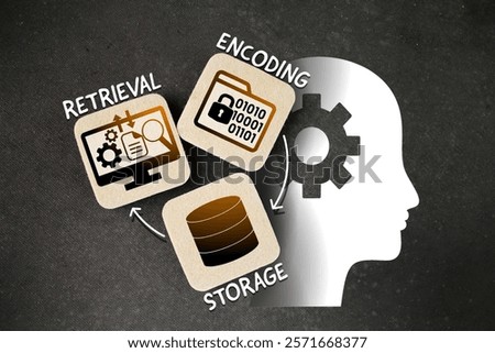 Encoding, storage and retrieval. What Is Memory, stages and processes in short-term memory and long-term memory