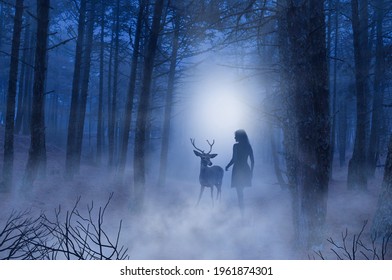 Encounter Between Deer And Woman In A Night Forest