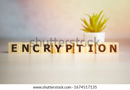 encryption word on wooden cubes, encrypt and security concept.