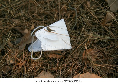 The End Of Coronavirus. Stop Covid 19. People Discard Surgical Protective Face Mask On A Public Streets. Dirty Used Medical Mask Laying On The Ground During An Epidemic. Risk Of Disease