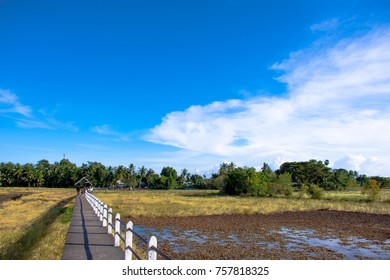 end of field