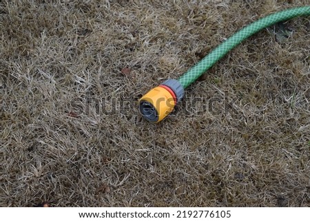 Similar – Image, Stock Photo Garden hose lies on a square terrace of stone tiles in a well-kept garden with lawn and a planting strip