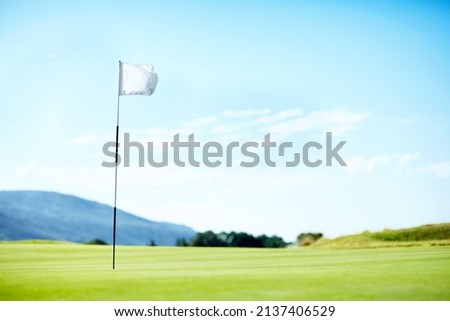 The end goal. Flag marking a hole on the golf course.