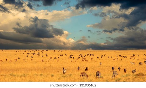 End Of The Great Migration - Serengeti National Park, Kenya