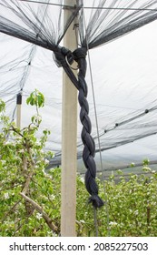 An end part of anti hail net showing how to properly tie knot on the net and connect it to the anchor at the end of the system, which will ultimately protect crops from bad weather. 