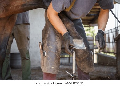 At the end of shoeing, the farrier further smoothens the horse's hoof with a hoof rasp. - Powered by Shutterstock