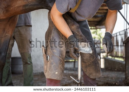 At the end of shoeing, the farrier further smoothens the horse's hoof with a hoof rasp.