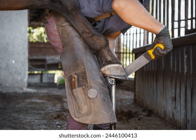 At the end of shoeing, the farrier gives the horse's hoof a final rasp as a finishing touch. - Powered by Shutterstock