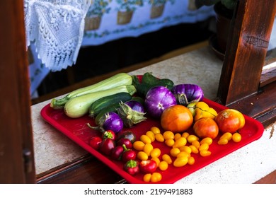 End Of Summer Fresh Organic Vegetables Harvest From Domestic Garden