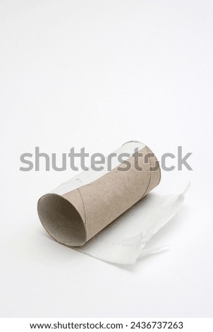 end of the toilet paper roll 