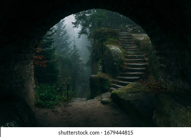 End of a tunnel to a Dark Mystical stairs in a fairy fantasy forest filled with magical mist or fog