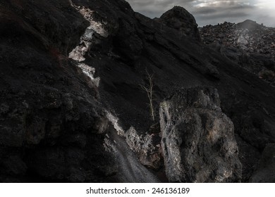 End of the World