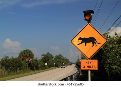 Endangered Florida Panther Crossing Sign In Collier Seminole State Park In The Florida Everglades