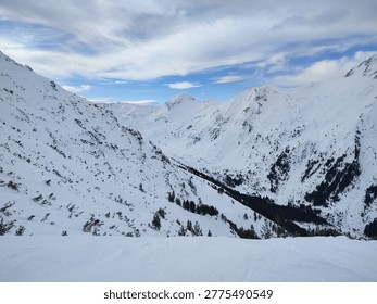 Endless alpine snowfields beneath bright winter sun, elegant cirrus clouds drifting across vivid blue sky, untouched powder paradise, cinematic mountain beauty