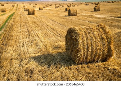 Endless Field With Bales Of Straw. Australian Rural Landscape. Authentic Farm Series