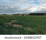 The endless fields in Hereford