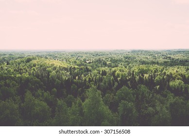 Endless forests in sunny day with perspective in color - vintage retro style effect - Powered by Shutterstock