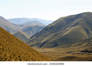 Endless Golden Hills Under a Clear Sky - Powered by Shutterstock