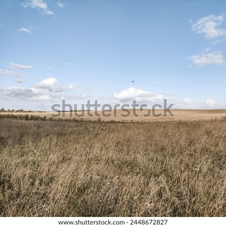 Similar – Holzbohlensteg ans Meer