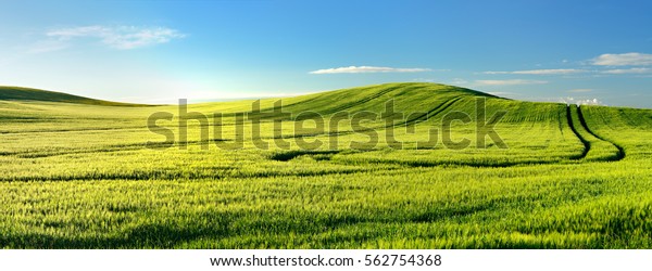 Endless Green Fields Rolling Hills Tractor Stock Photo 562754368 ...