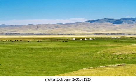The endless landscape of Mongolia	
