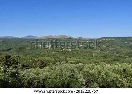 Endless olive trees blanket the rolling hills surrounding Ano Vouves, illustrating why western Crete has been one of the Mediterranean’s foremost olive-growing regions for millennia.