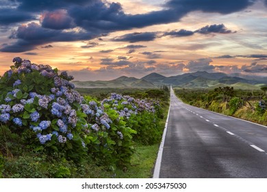 Endless road into the cloudy mountains and hills of Pico Island, Azores, Portugal