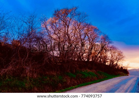 Similar – Endlos lange Strasse ins Gebirge von Pico, Azoren