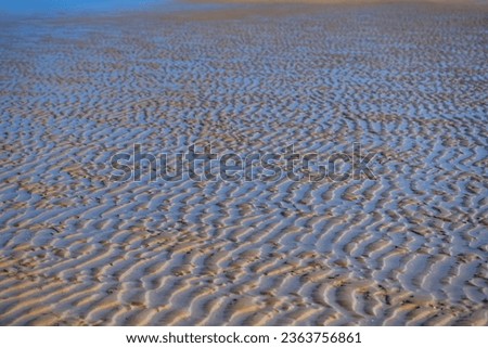 Endless sand structures with water filled ripples at low tide on the beach of Juist island, Germany in National Park “Wattenmeer“. Natural seaside background pattern formed by current and wind. 