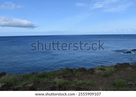 An endless view of the deep blue ocean stretches to meet the horizon under a clear sky, with gentle grassy cliffs framing the foreground.