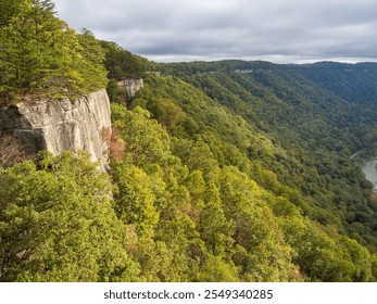 The Endless Wall Trail in New River Gorge National Park reveals impressive rock formations, creating a breathtaking experience for nature lovers. - Powered by Shutterstock